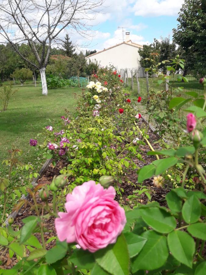 Logis De Lange Studio 2 P Saint-Hilaire-la-Palud Εξωτερικό φωτογραφία