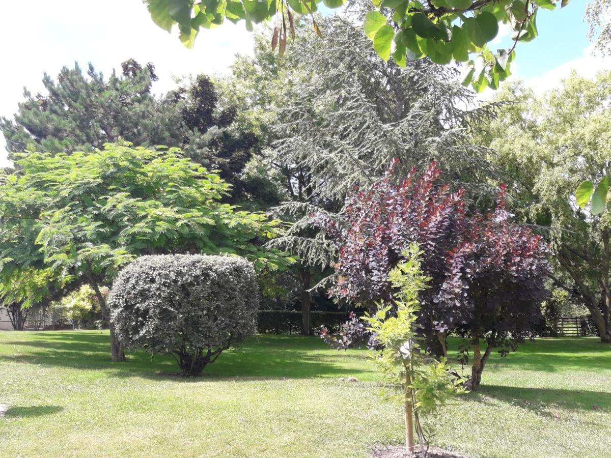 Logis De Lange Studio 2 P Saint-Hilaire-la-Palud Εξωτερικό φωτογραφία
